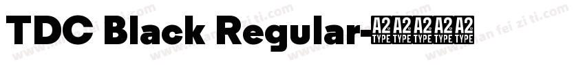 TDC Black Regular字体转换